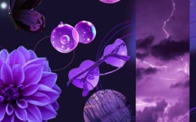 Le mariage de l’écarlate et du violet : des idées pour sublimer votre intérieur