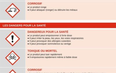 Maison ancienne : 8 signaux d’alerte à ne jamais ignorer