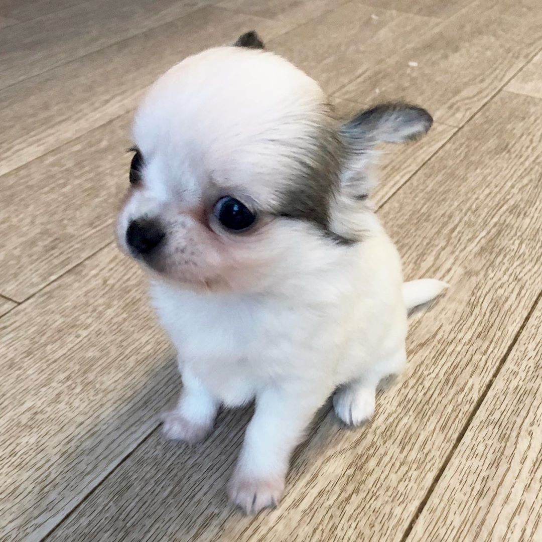 Transformation maison originale