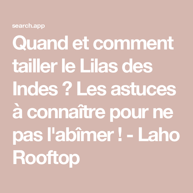 Lilas des Indes bouture