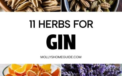 Mise en place : L’importance de 5 dl en cl pour nos infusions de gin