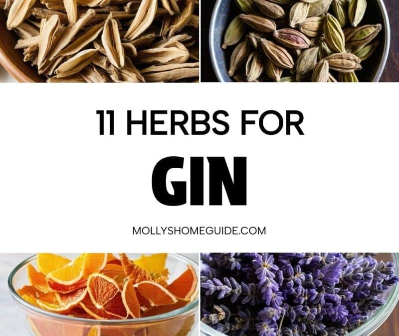 Mise en place : L’importance de 5 dl en cl pour nos infusions de gin