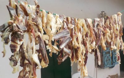 Techniques efficaces pour sécher sa viande de bœuf maison